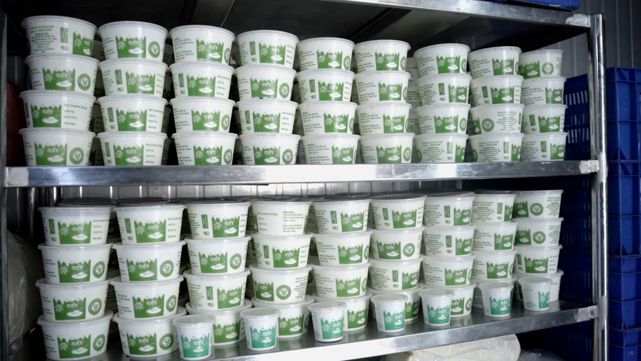 Yogurt with sugar – 0.5 Liter Batta Yogurt with sugar – 0.5 Liter Batta